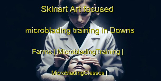 Skinart Art-focused microblading training in Downs Farms | MicrobladingTraining | MicrobladingClasses | SkinartTraining-United States